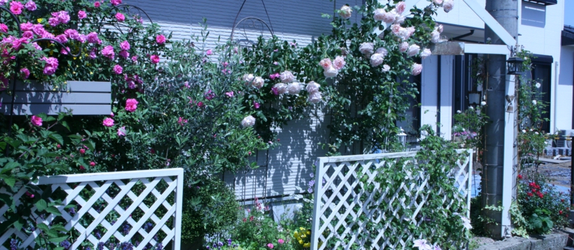 2013-05-242009.34.56.jpg