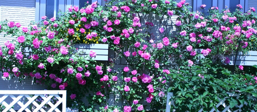 819c2013-05-242009.34.44.jpg